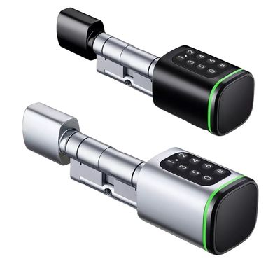 Carta di memoria Smart Digital Lock Tuya Wifi App Sicurezza per la casa ufficio Piccolo cilindro ovale