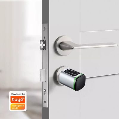Carta di memoria Smart Digital Lock Tuya Wifi App Sicurezza per la casa ufficio Piccolo cilindro ovale