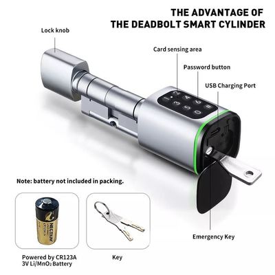 Carta di memoria Smart Digital Lock Tuya Wifi App Sicurezza per la casa ufficio Piccolo cilindro ovale