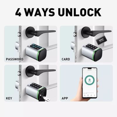 Carta di memoria Smart Digital Lock Tuya Wifi App Sicurezza per la casa ufficio Piccolo cilindro ovale