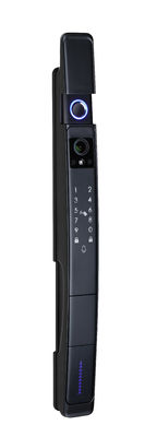 Tuya Smart Door Lock con display impermeabile WIFI Riconoscimento facciale 3D delle impronte digitali