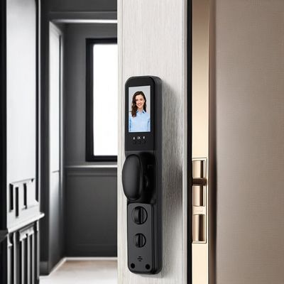 Serrature per porte esterne intelligenti con impronte digitali/password/carta Capacità 100 Unlock way card