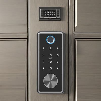 Serratura per porta con impronte digitali in lega di zinco argento per ufficio domestico Wi-Fi Tuya Network Compatibile