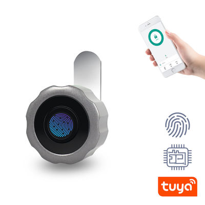 Smart Wifi Tuya Lock Fingerprint Reader Keyless Glass Cabinet Set Opzione di archiviazione cloud