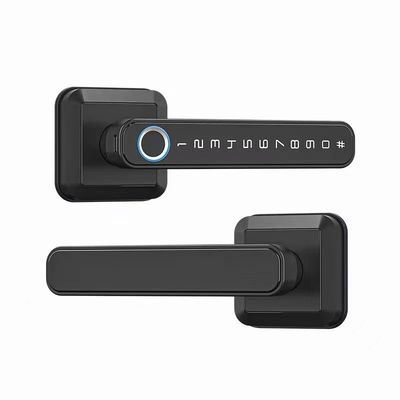 Maniglia di blocco di ingresso Bluetooth connesso WiFi per serratura di porta in stile moderno e semplice