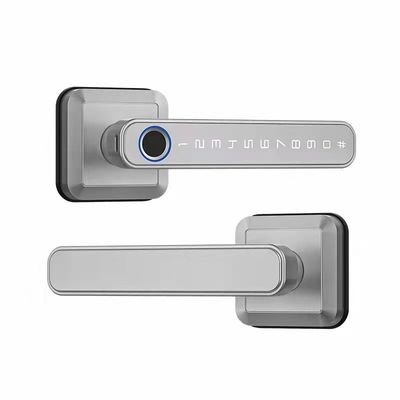 Maniglia di blocco di ingresso Bluetooth connesso WiFi per serratura di porta in stile moderno e semplice