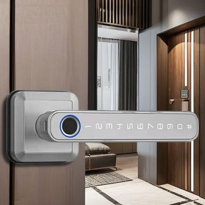 Maniglia di blocco di ingresso Bluetooth connesso WiFi per serratura di porta in stile moderno e semplice
