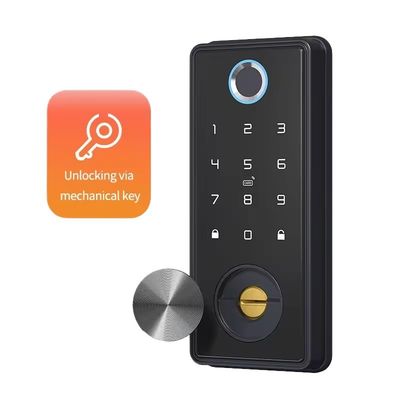 Zinc Alloy Black Blue Tooth Smart Lock per la rete WIFI Tuya APP scheda di memoria