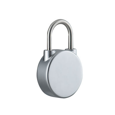 Serratura intelligente Serratura elettromagnetica per una alta sicurezza delle porte in casa/ufficio/scuola