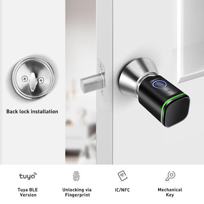 Tuya Apartment Chiusura per impronte digitali con rete Wifi e chiusura in ottone impermeabile