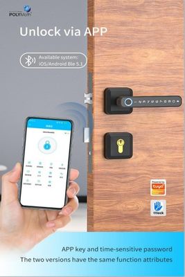 Password di impronta digitale Smart Lock Quick Unlock Codice digitale Connettività WiFi