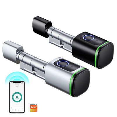 Controllo mobile APP TUYA Smart Fingerprint Door Lock con apertura della porta a forma di silver twist
