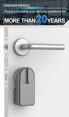 Porta della stanza tastiera digitale Ttlock Smart Home Maniglia porta lucchetto durata della batteria