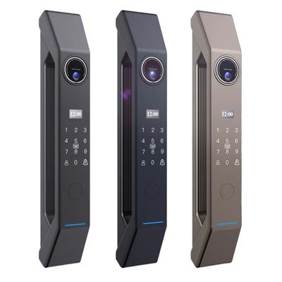 100 capacità di serratura intelligente per porte in metallo con chiave di sblocco e impronte digitali/password/carta