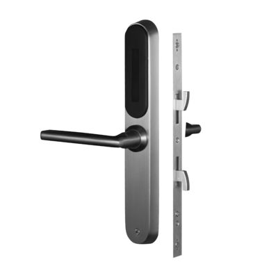 Serratura intelligente in acciaio inossidabile per la casa Password di impronte digitali WiFi Serratura porta in acciaio tutto in uno