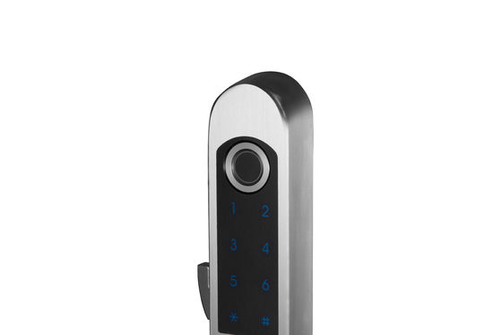 Serratura intelligente in acciaio inossidabile per la casa Password di impronte digitali WiFi Serratura porta in acciaio tutto in uno