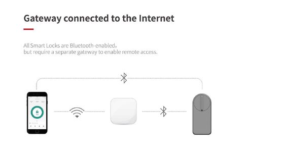 Introduzione del lucchetto grigio Wifi Smart Gate per la memorizzazione della scheda di memoria Tuya Wooden Doors