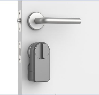 Zinc Alloy Tuya App Wifi Password wireless Smart Blue Tooth Door Lock per il 95% delle porte