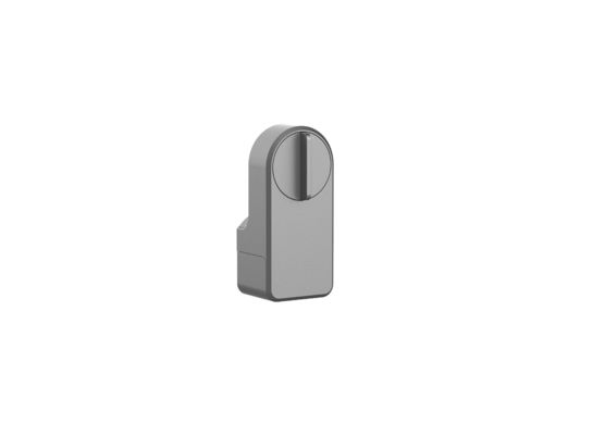 Zinc Alloy Tuya App Wifi Password wireless Smart Blue Tooth Door Lock per il 95% delle porte