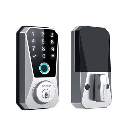 Facile installazione Wi-Fi Reset Magnetico Smart Lock con TUYApp e riconoscimento delle impronte digitali