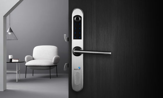 Sblocca la tua villa con l'impronta digitale di alta sicurezza Chiusura digitale porta impermeabile esterno