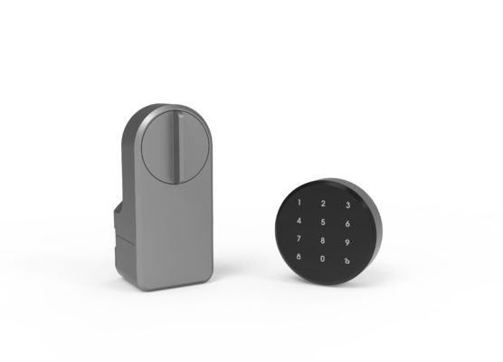 tech Household Tuya App Wifi Tastiera wireless Smart Blu dente Chiusura porta per convenienza