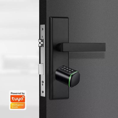 Sblocca comodamente la tua porta di legno con Silver Smart Cylinder Lock Password Sbloccato