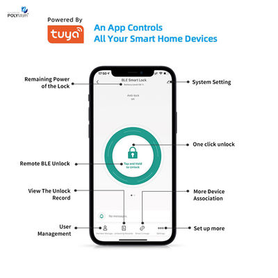 Porta d'acciaio Tuya digitale App Card Password Smart Cylinder Lock con memorizzazione della scheda