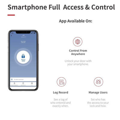 Funzione di allarme Grigio Retrofit Smart Knob Door Lock per Bluetooth Gateway e Deadlock