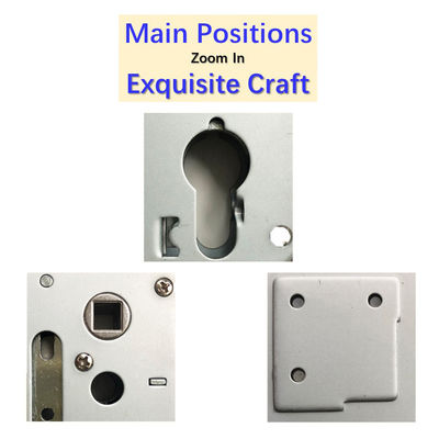 Porte europee di lucchetto intelligente di acciaio inossidabile Confezione di corpo di lucchetto per porte in metallo di legno