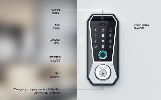 Tuya WIFI Digital Smart Door Lock con memorizzazione dei dati sulla scheda di memoria e accesso alle impronte digitali