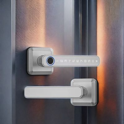Materiale in lega di zinco Chiusura porta con impronte digitali Wifi abilitata impermeabile IP66 per porta in legno