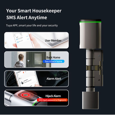 Fornitore di alimentazione di tipo C Smart Home Digital Lock per un'installazione facile su porte in legno