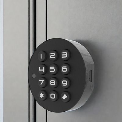 Blue Tooth Network Mini Fingerprint Living Room Cabinets per il rifornimento diretto di porte in legno