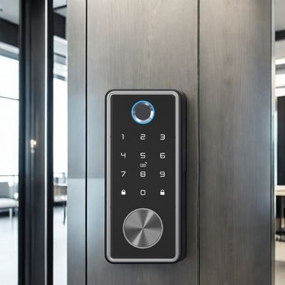 Porta in acciaio resistente all' acqua Wifi digitale frontali senza chiave Smart Deadbolt Lock con Tuya App