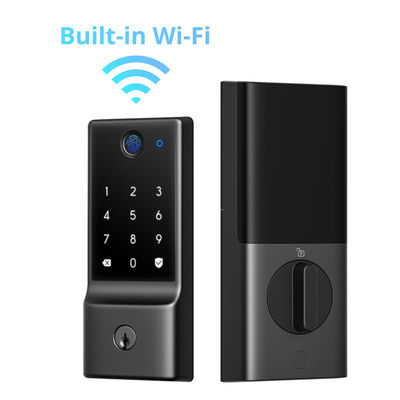 Serratura Smart Door con stile minimalista moderno e opzione di archiviazione dati su scheda di memoria