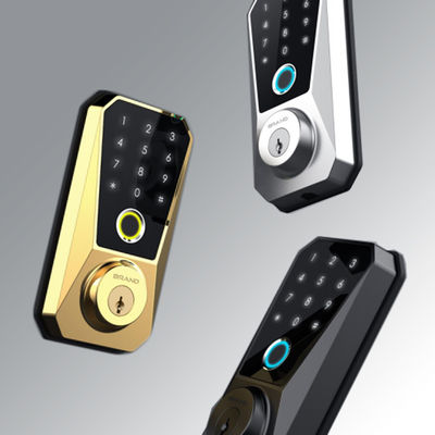 Comodo e sicuro PL816 Plus Tuya App Smart Wood Door Lock con connettività WiFi