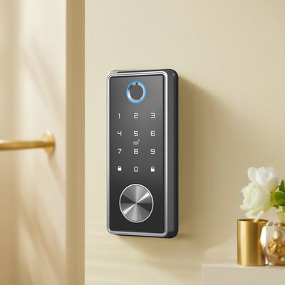 Serratura a denti blu multifunzione per porte in legno in stile moderno con impronte digitali e carta di accesso