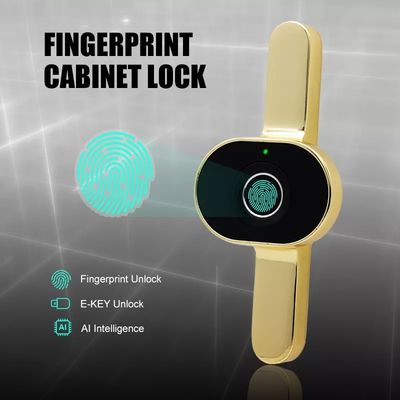 Opzioni di archiviazione dati Carta di memoria Mini cassetto Smart Electric Lock For Office Cabinet