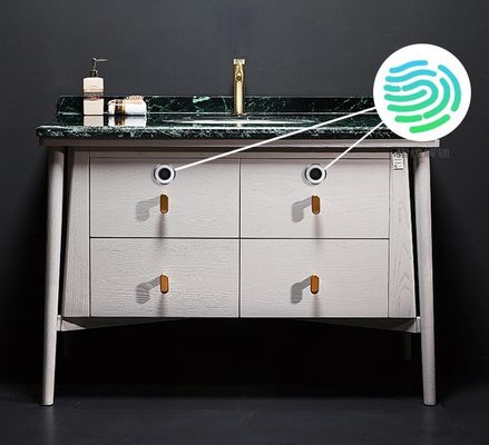 Home Office Biometrica Smart Keyless Box Arredamento Single Open Fingerprint Scatola di serratura