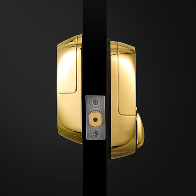 Porta in legno di alta sicurezza colore oro impermeabile scorrevole smart impronte digitali Chiusura porta 42,1 * 35,6 * 51,5 cm