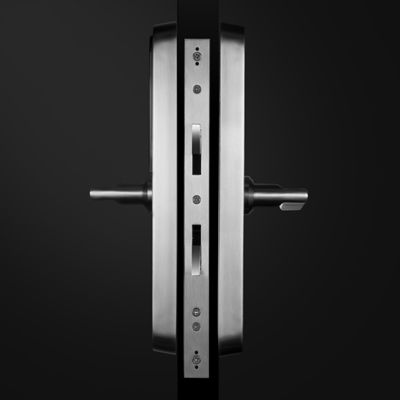 Rete dente blu Porta in legno smart lock impronte digitali testa password sblocco digitale smart porta per porta
