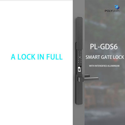 Cerradura digitale nera Electronica Tecnologia intelligente Serratura di sicurezza con rete Wifi