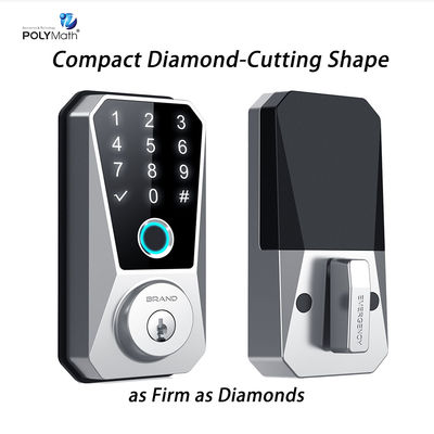 Blue Tooth Network Steel Door Smart Lock con design impermeabile e protezione per la sicurezza