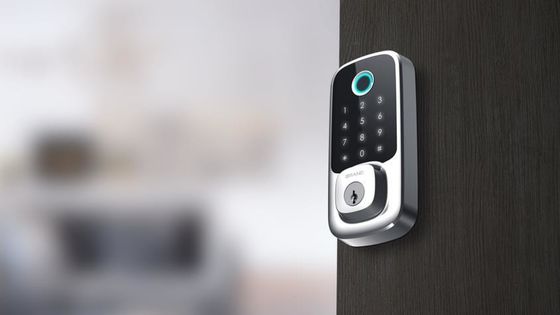 Serratura porta esterna con chiave di sicurezza intelligente e funzionalità di scheda di memoria