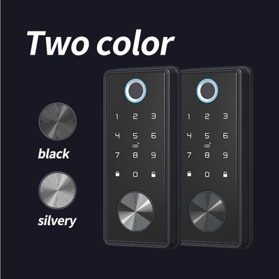 Porta in alluminio TUYA Smart Lock con riconoscimento delle impronte digitali e memorizzazione della scheda di memoria