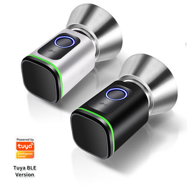 Codice di accesso argento nero TUYA APP Serratura della porta chiuso con serratura Wifi Network Reader Dimensione 42*42mm