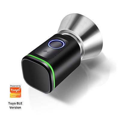 Codice di accesso argento nero TUYA APP Serratura della porta chiuso con serratura Wifi Network Reader Dimensione 42*42mm