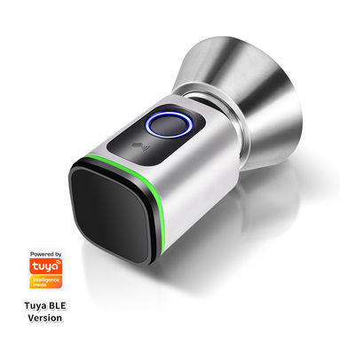Codice di accesso argento nero TUYA APP Serratura della porta chiuso con serratura Wifi Network Reader Dimensione 42*42mm