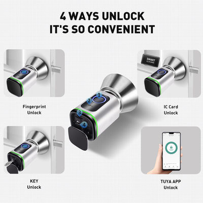 Codice di accesso argento nero TUYA APP Serratura della porta chiuso con serratura Wifi Network Reader Dimensione 42*42mm